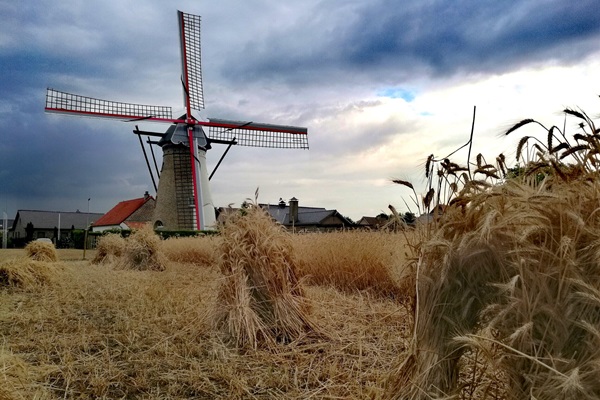 De molens in Bocholt